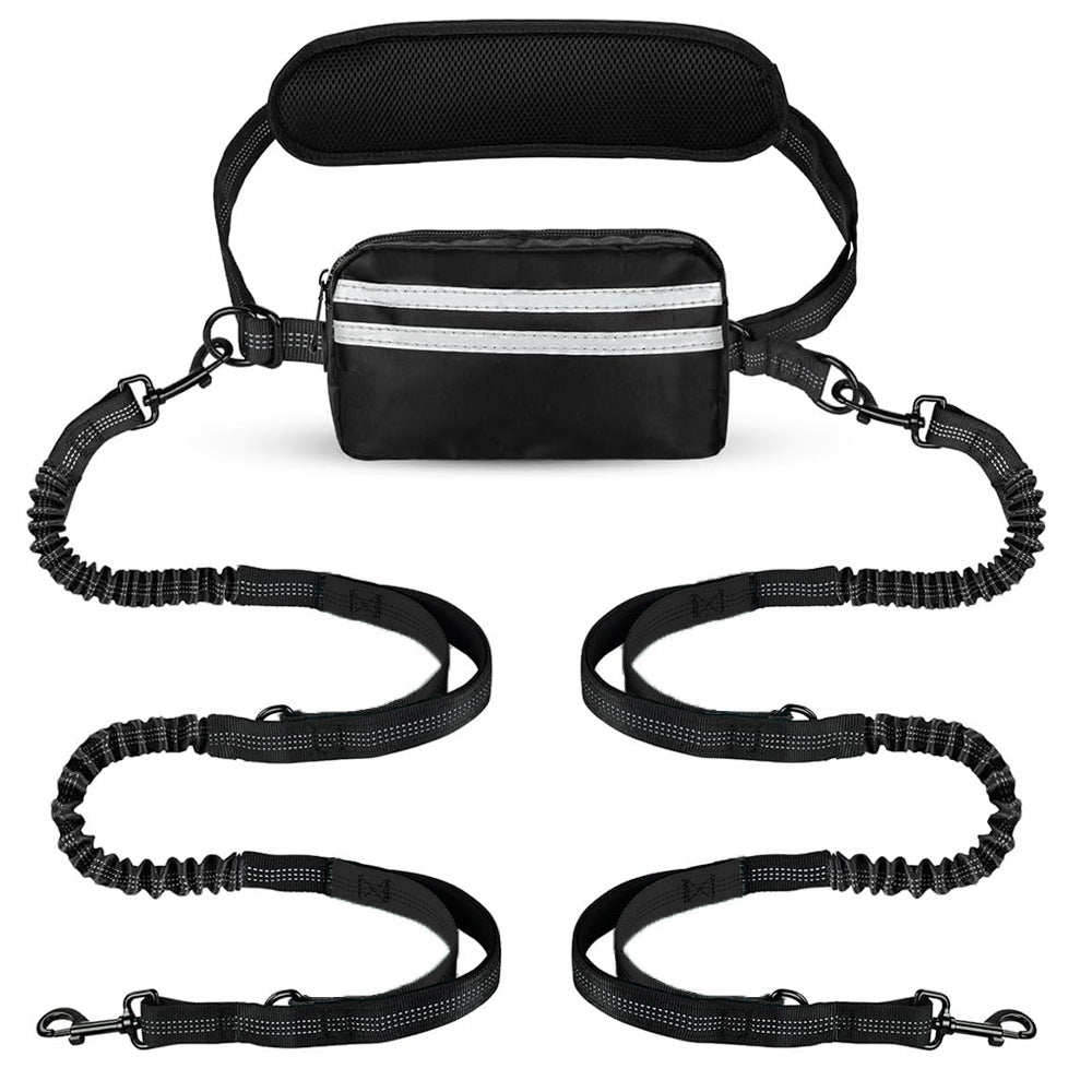 One-to-two leash