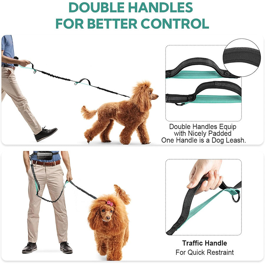 One-to-two leash