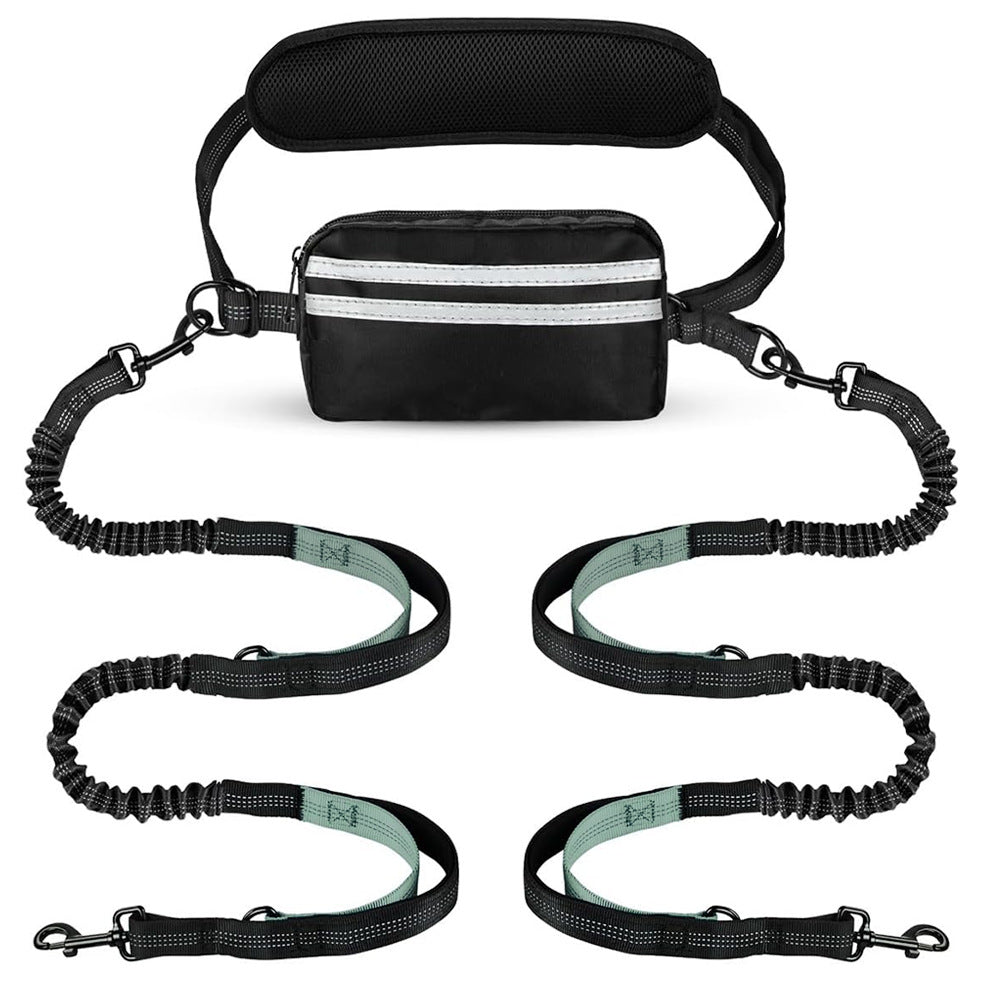 One-to-two leash