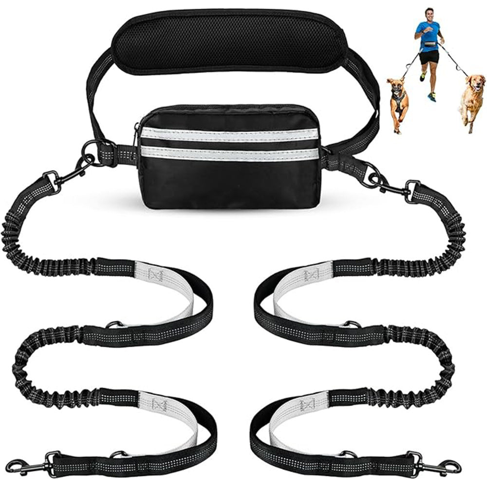 One-to-two leash