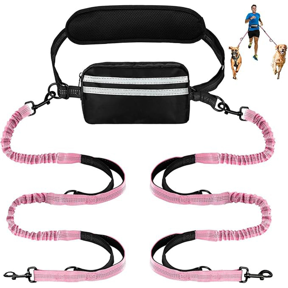 One-to-two leash