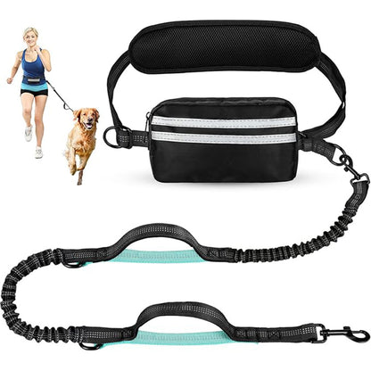 One-to-two leash