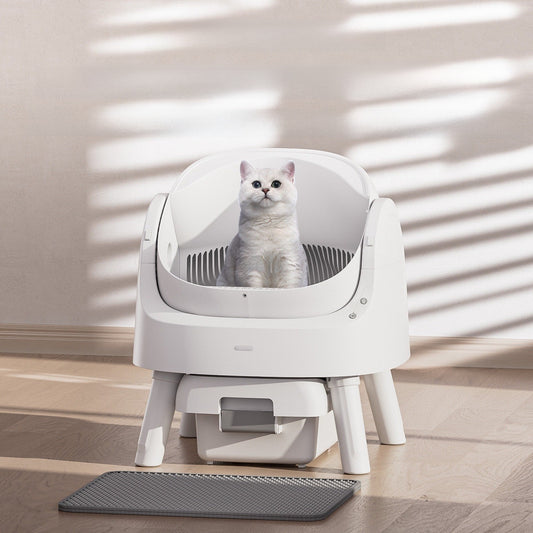 Open automatic litter box