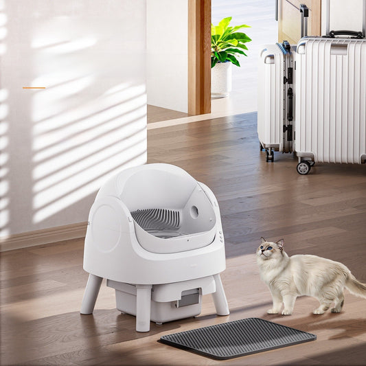 Open automatic litter box