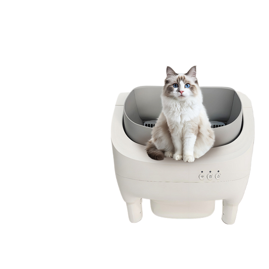 Open-top cat litter box