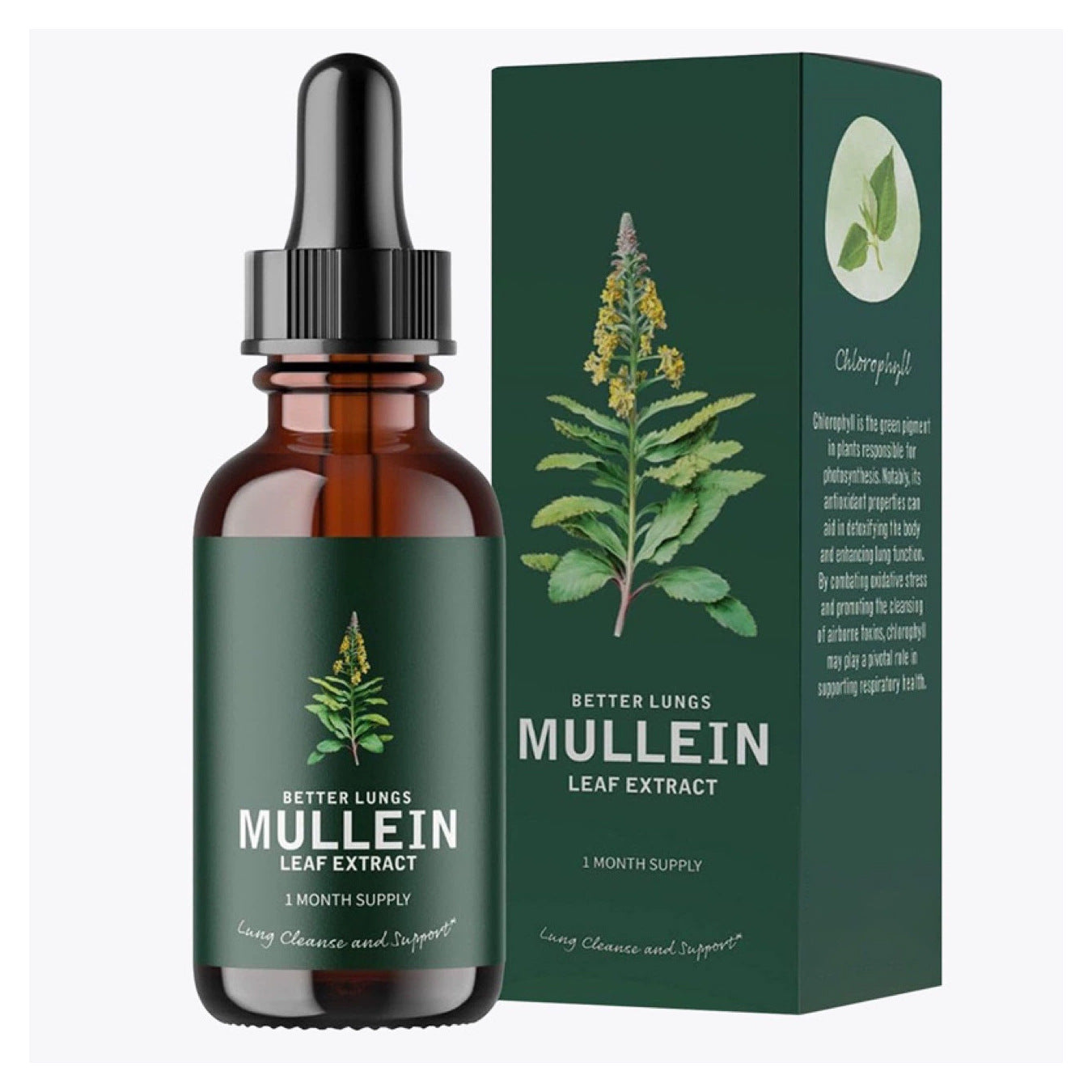 Oregano Oil Soft Capsules