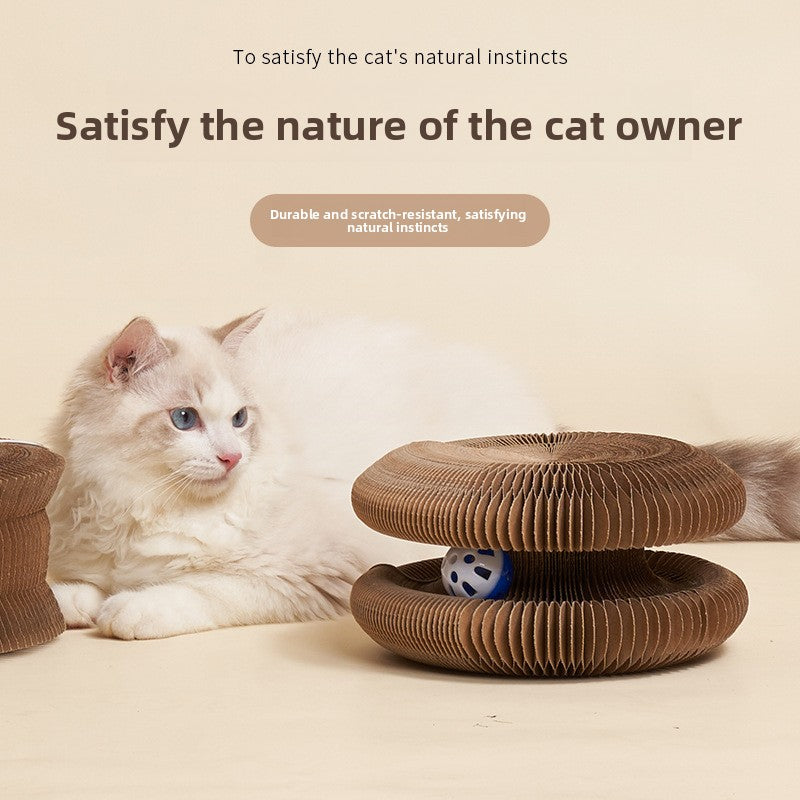 Organ Cat Scratching Board