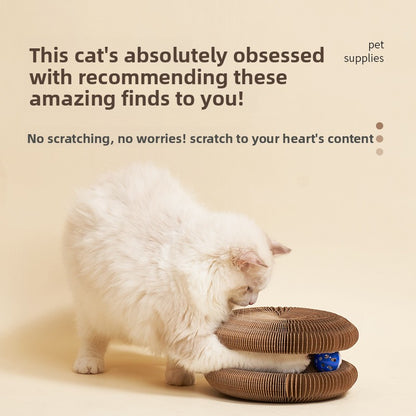Organ Cat Scratching Board