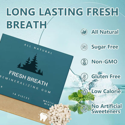 Organic MASTIC MINT Sugarless Chewing Gum