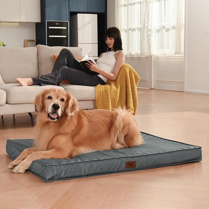 Orthopedic Memory Foam Dog Bed with Removable Cover
