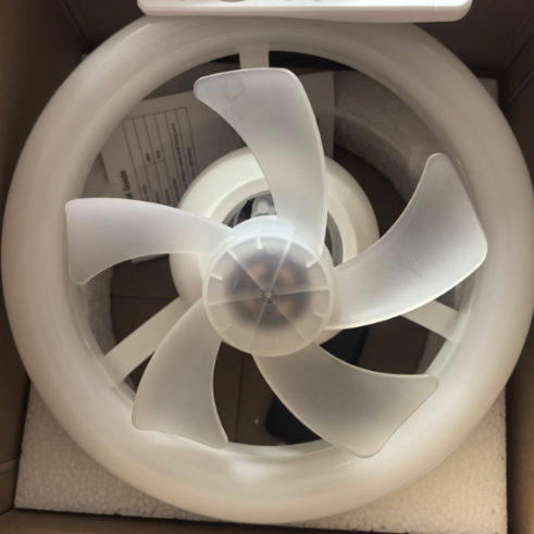Oscillating ceiling fan light