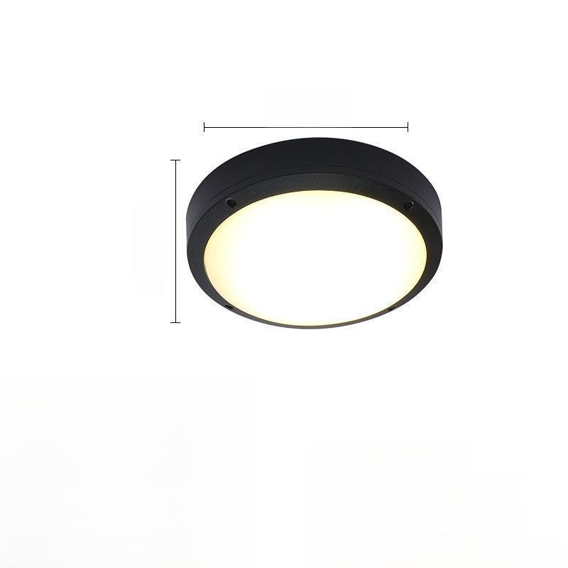 Outdoor ceiling light