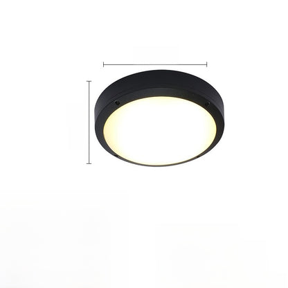 Outdoor ceiling light