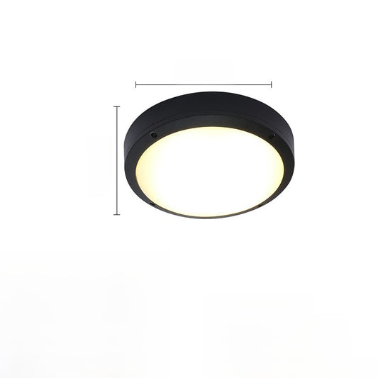 Outdoor ceiling light