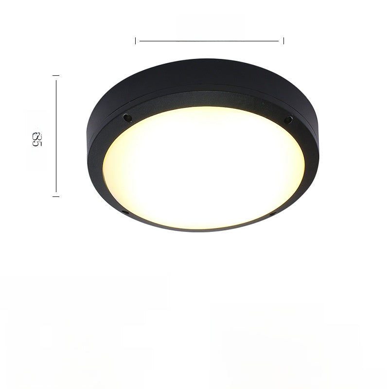 Outdoor ceiling light
