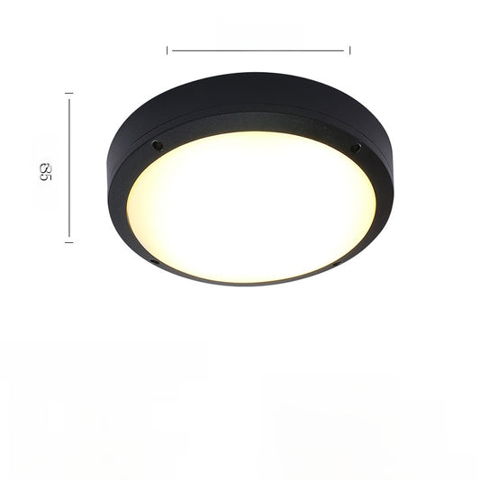 Outdoor ceiling light