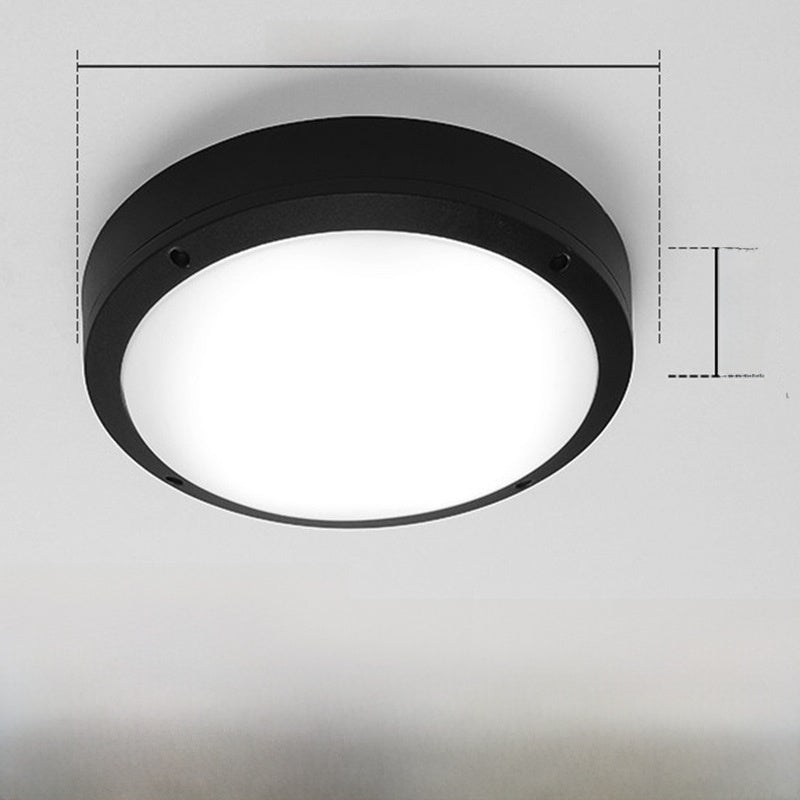 Outdoor ceiling light