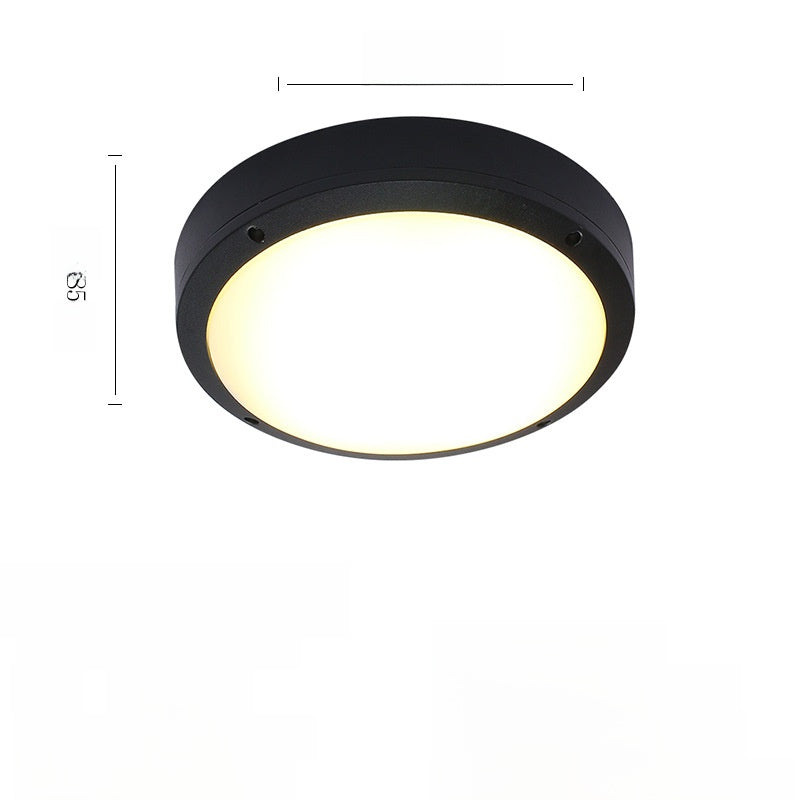 Outdoor ceiling light