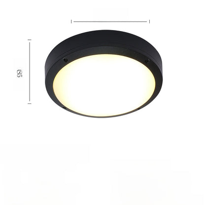 Outdoor ceiling light