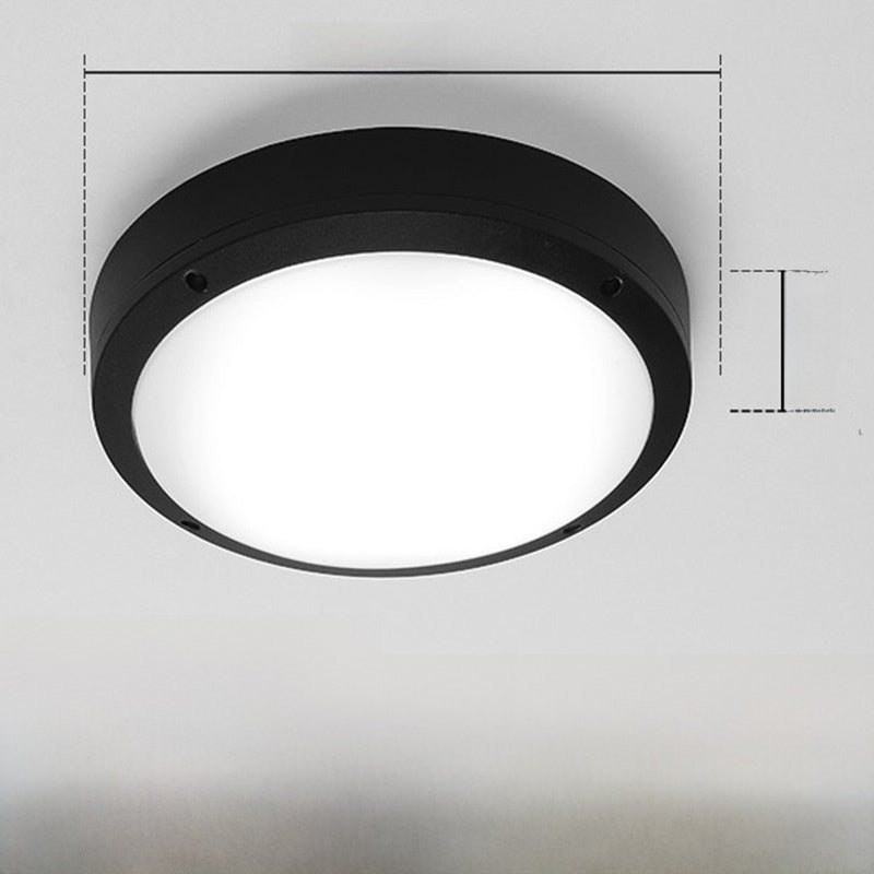 Outdoor ceiling light