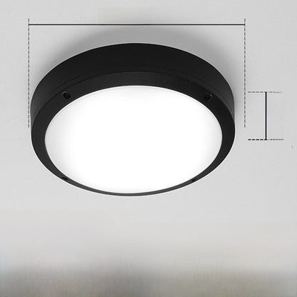 Outdoor ceiling light