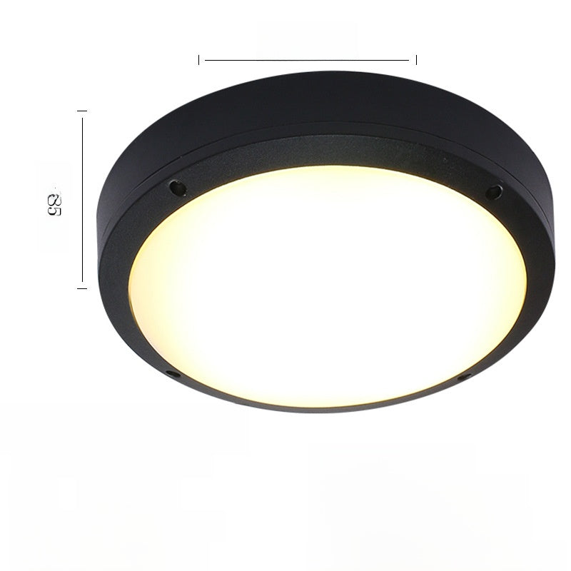 Outdoor ceiling light