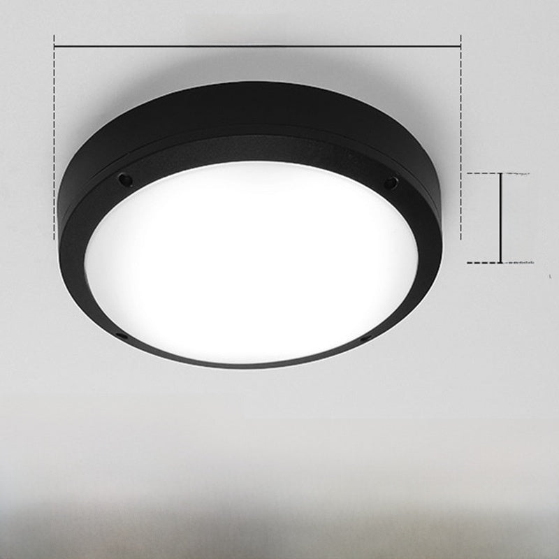 Outdoor ceiling light