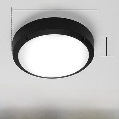 Outdoor ceiling light