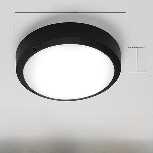 Outdoor ceiling light