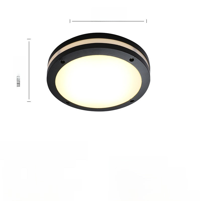 Outdoor ceiling light
