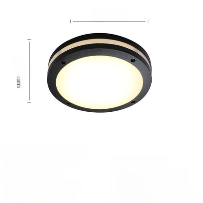 Outdoor ceiling light