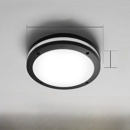 Outdoor ceiling light