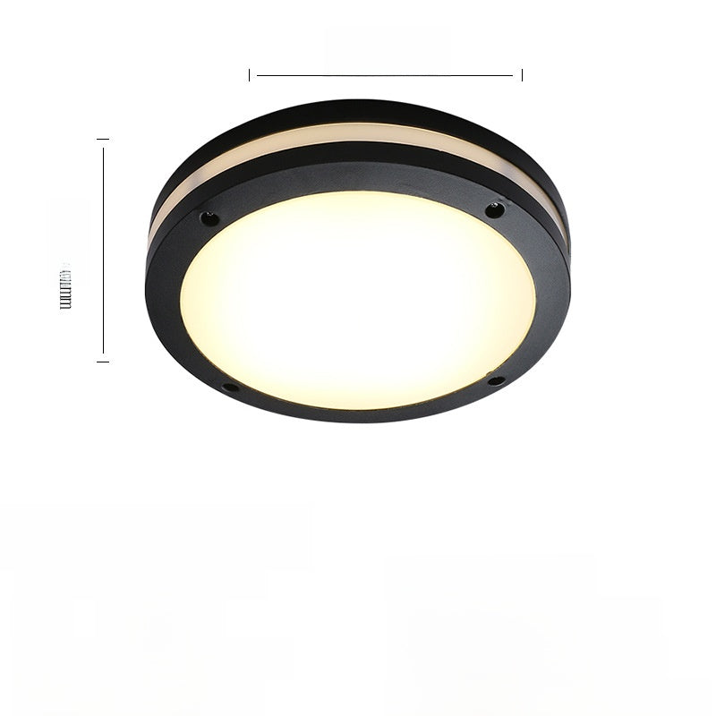 Outdoor ceiling light