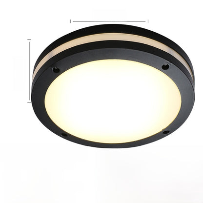 Outdoor ceiling light
