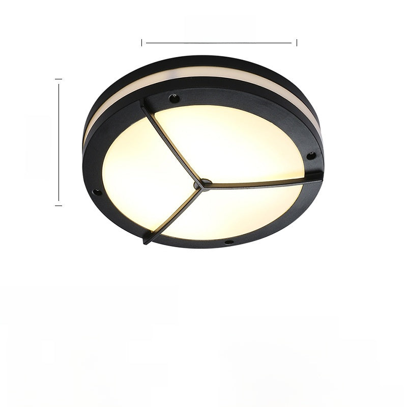 Outdoor ceiling light