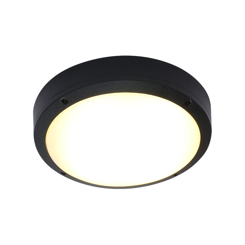 Outdoor ceiling light
