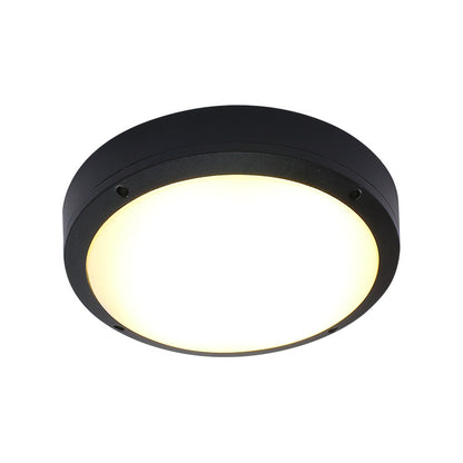 Outdoor ceiling light