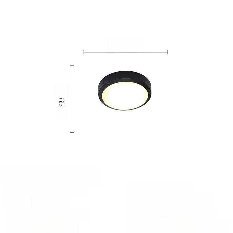 Outdoor ceiling light