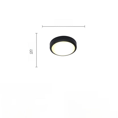 Outdoor ceiling light