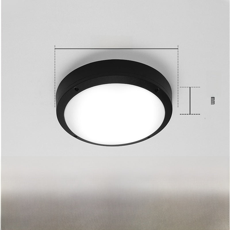 Outdoor ceiling light