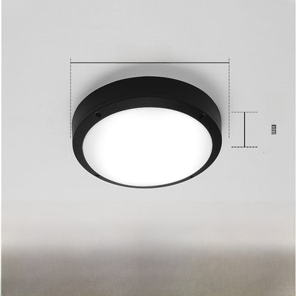 Outdoor ceiling light