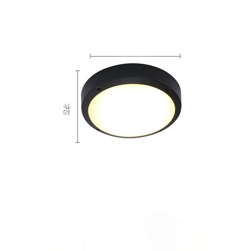 Outdoor ceiling light