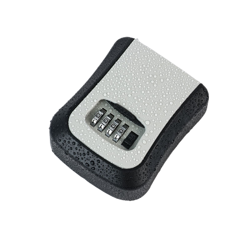 Outdoor decoration password key box