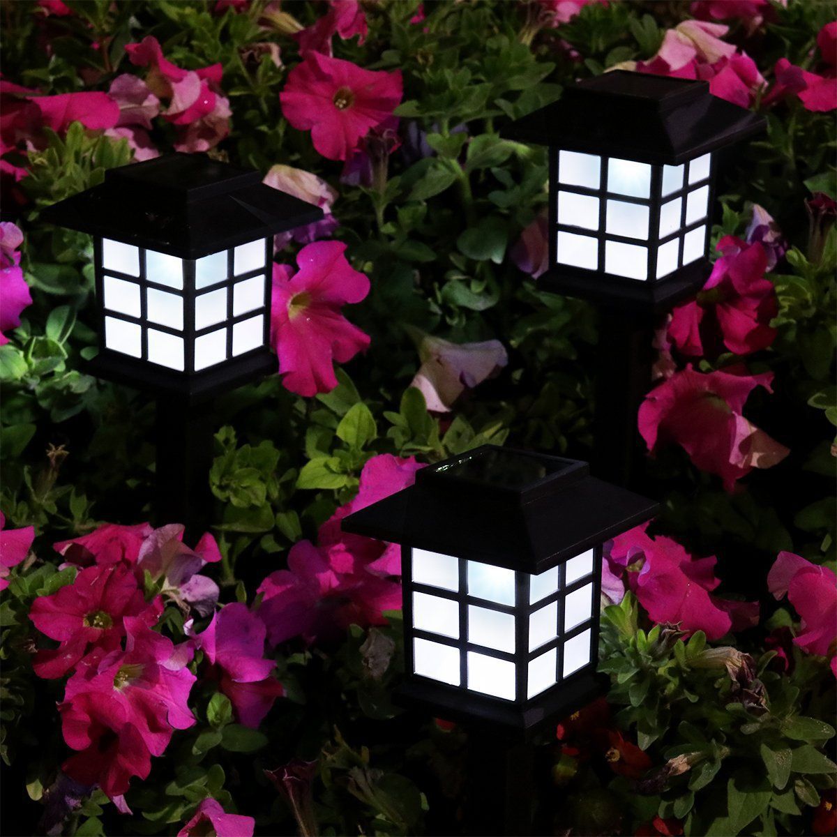 outdoor LED lighting solar garden light