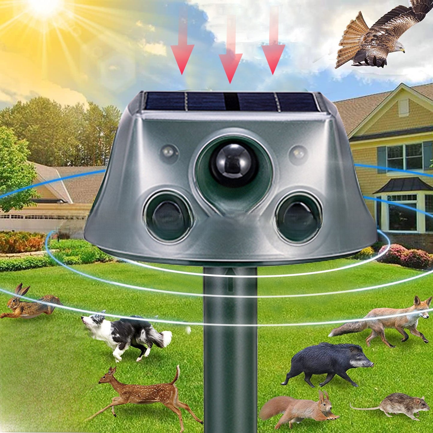 Outdoor solar mouse repellent bird repellent