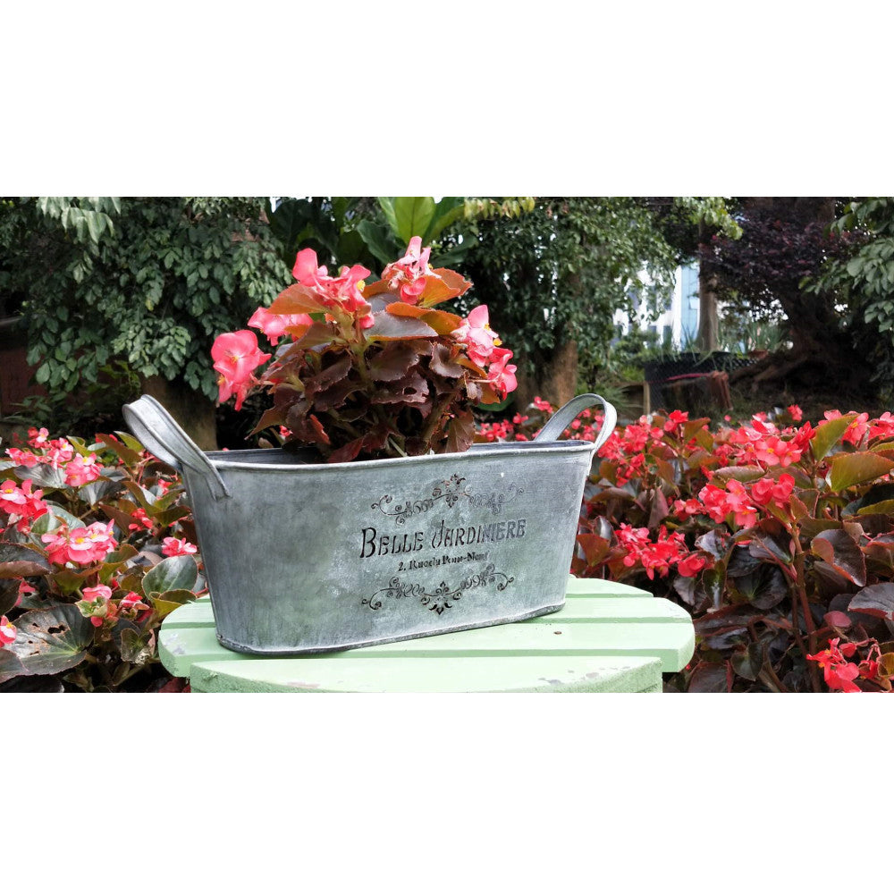 Oval English Letter Decorative Tin Bucket