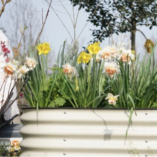 Oval Metal Garden Planting Box