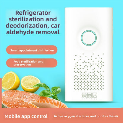 Ozone Disinfection Machine for Cars and Refrigerators