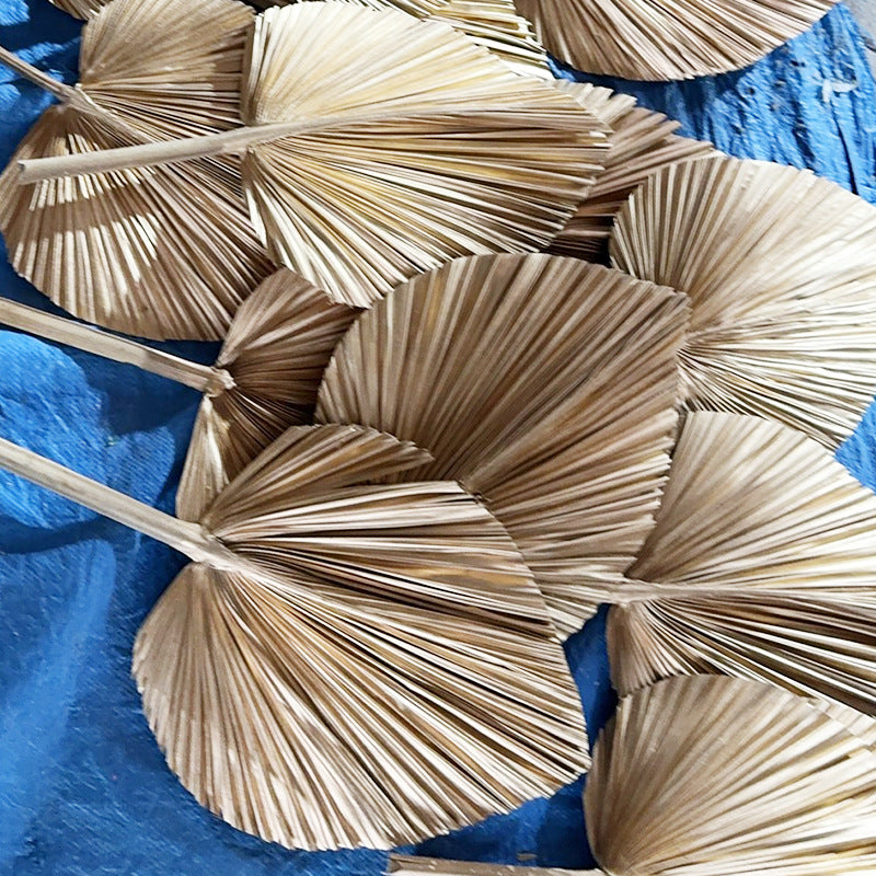 Palm Leaf Fan