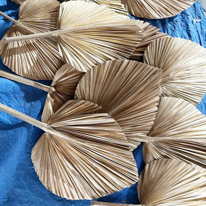Palm Leaf Fan